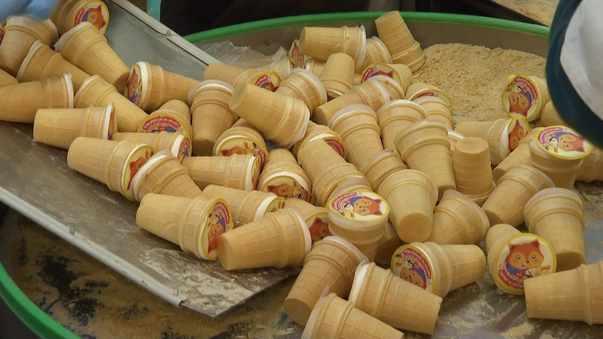 Мороженое за пятёрки: победители «Верного отличника» на эксклюзивной экскурсии